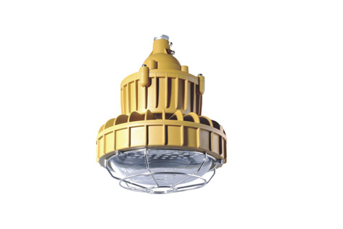 RLBZD LED防爆防腐燈