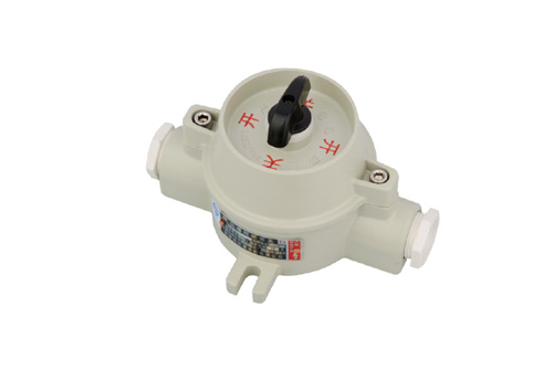 SW-10ϵз_P(gun)IIBDIP