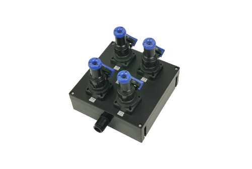 BZC8050系列防爆防腐電源插座箱(IIC、DIP)